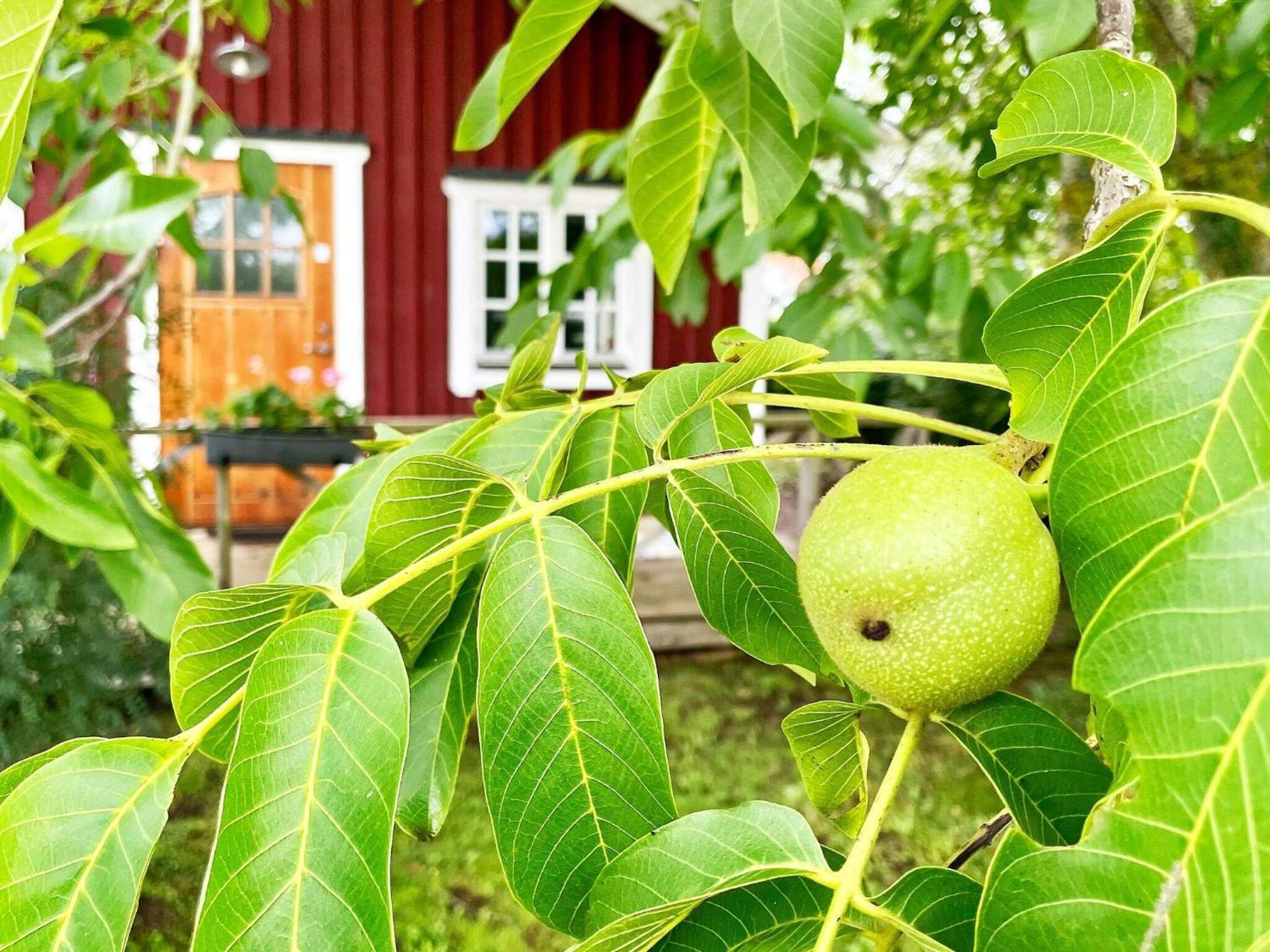 Holiday Home Malaretorpsvaegen Borgholm Eksteriør billede